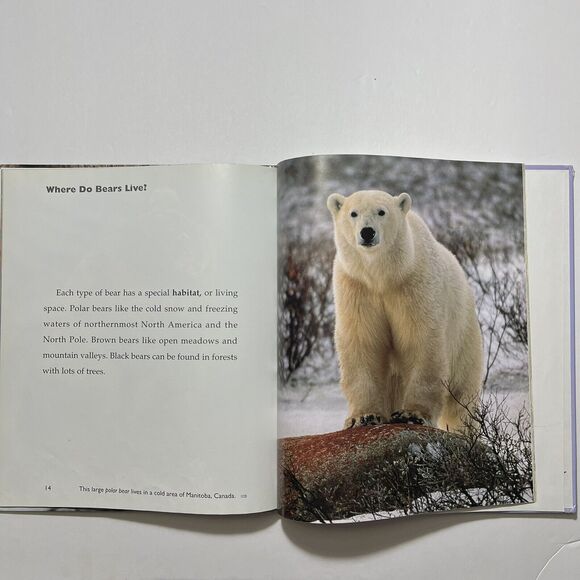 Set Of 2 Childrens Story Books Hardcover Dear Children of the Earth and Bears - Picture 11 of 13
